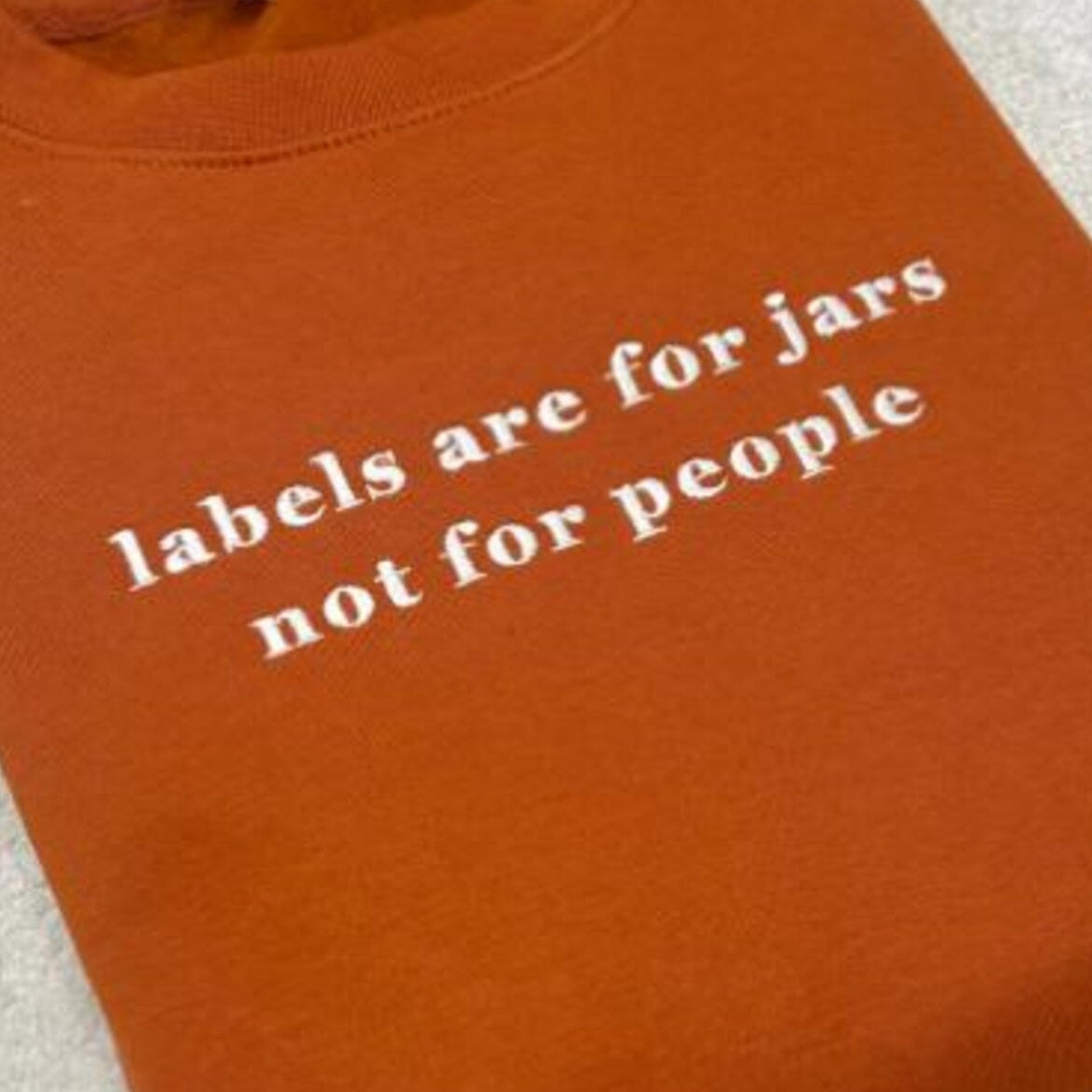 Ginger sweatshirt with white text 'labels are for jars not for people' embroidered.
